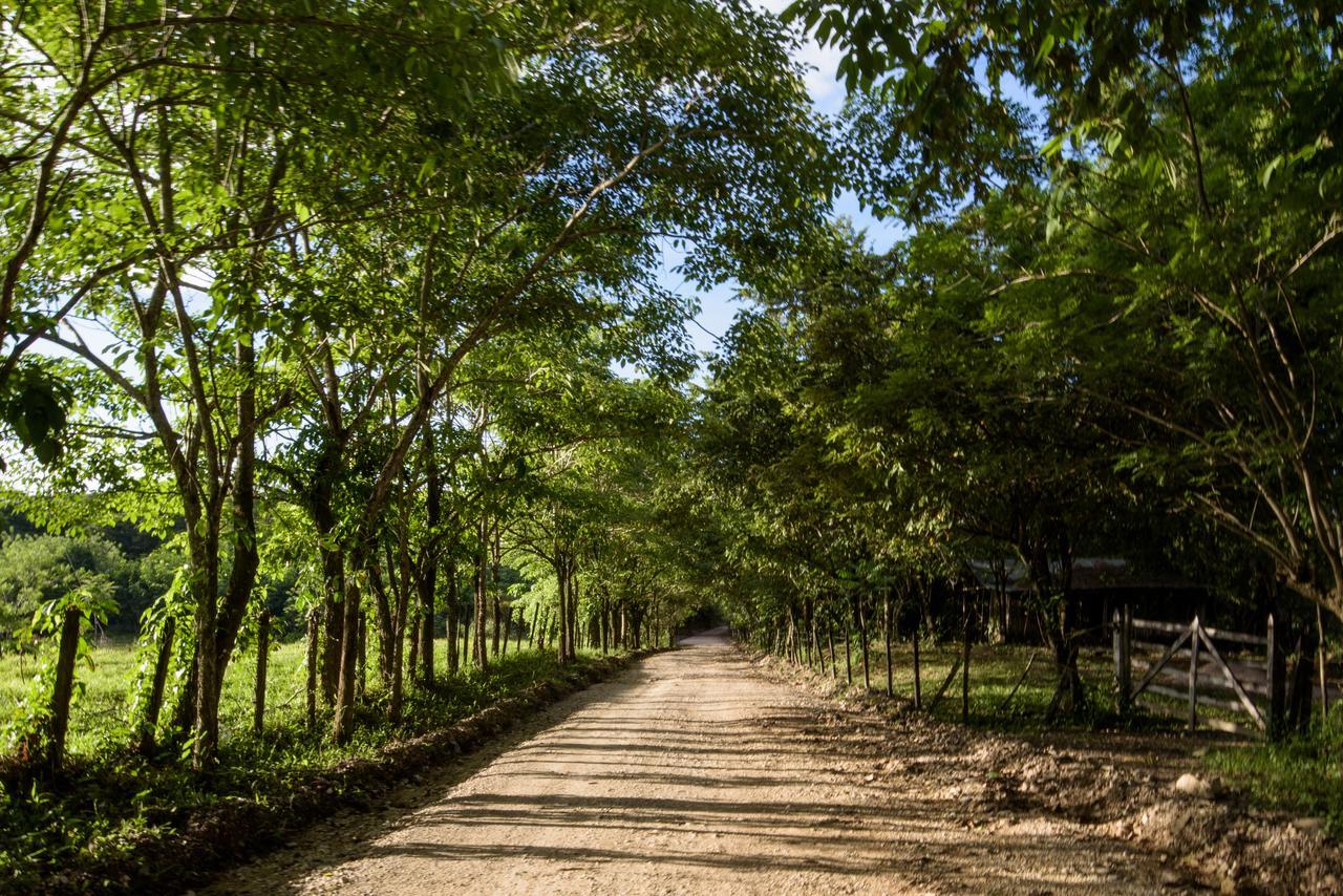 Villas Adriana, ปาเลงเก ภายนอก รูปภาพ